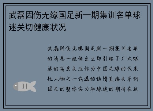 武磊因伤无缘国足新一期集训名单球迷关切健康状况 武磊因伤无缘国足新一期集训名单球迷关切健康状况